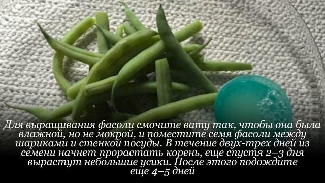 Полезные советы по применению ваты смотреть онлайн