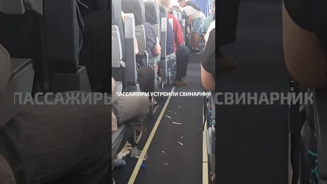 Самолет Новосибирск Москва смотреть онлайн