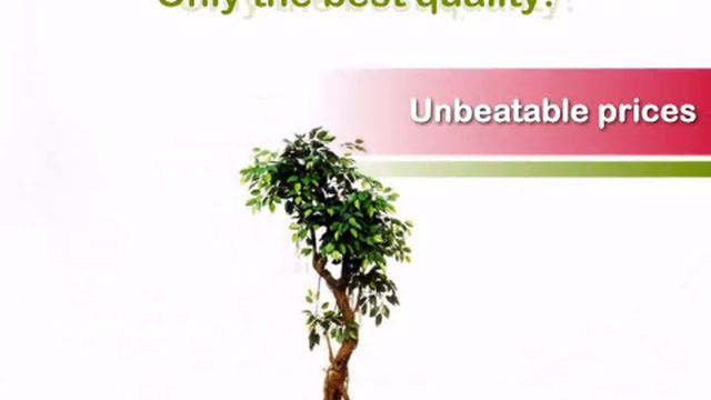 6.5 foot Curved Trunk Dark Green Ficus Tree - artificialplantsandtrees.com смотреть онлайн