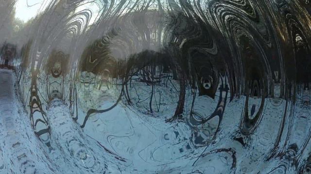 Прогулка по лесу и первому снегу. Нам воздуха глоток нужен, и всё переживём! смотреть онлайн