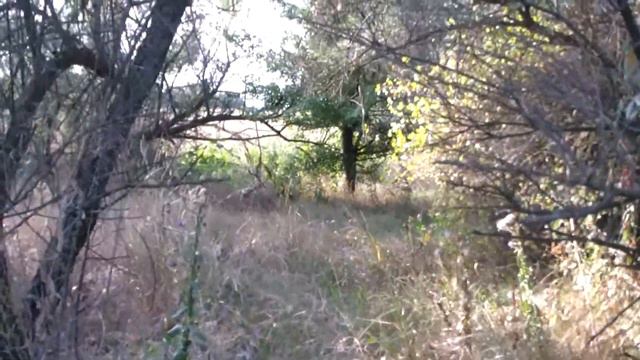 ⛺ Кинбурнский полуостров #9. Лагерь "Kinburn Camp". Долгая дорога домой! смотреть онлайн