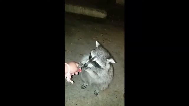 КАК ОБРЕСТИ ВНУТРЕННЮЮ СВОБОДУ? смотреть онлайн