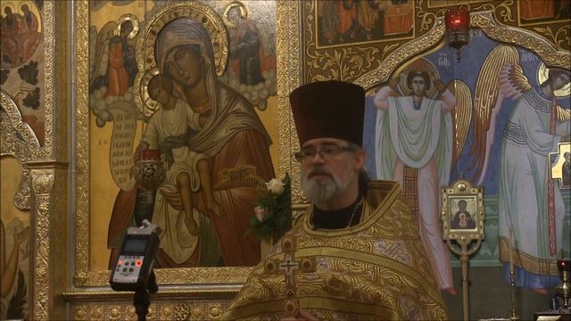 2024.01.28. Jesus Christ and the rich young ruler. Sermon by Priest Damian Dantinne смотреть онлайн