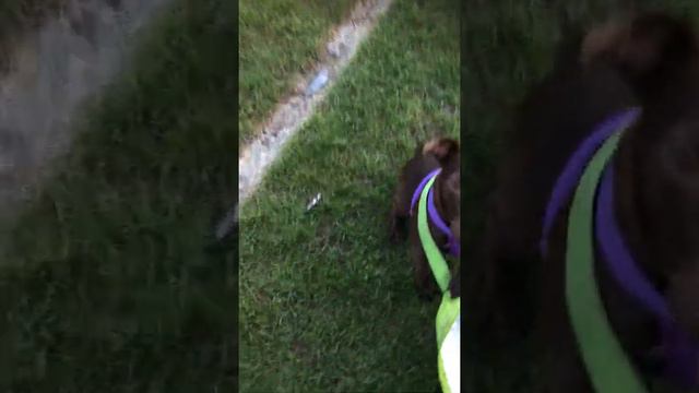 Flo 7.30am🐾part1 смотреть онлайн