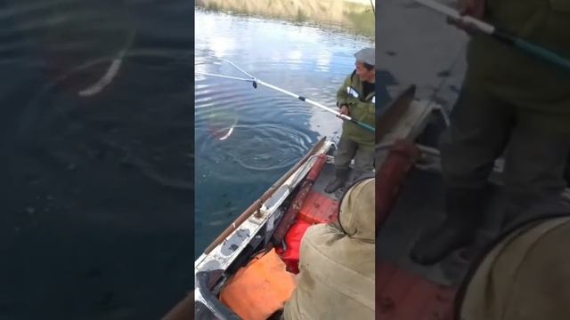 Скоро лето! #якутия #клевая #поймать #рыбалка #эхолот #клеваярыбалка смотреть онлайн