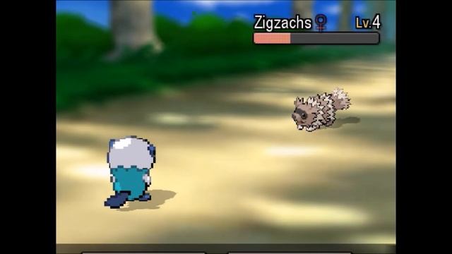 Let's Play Pokemon Trash Part 1: Invasion der level 100 Ottaros смотреть онлайн