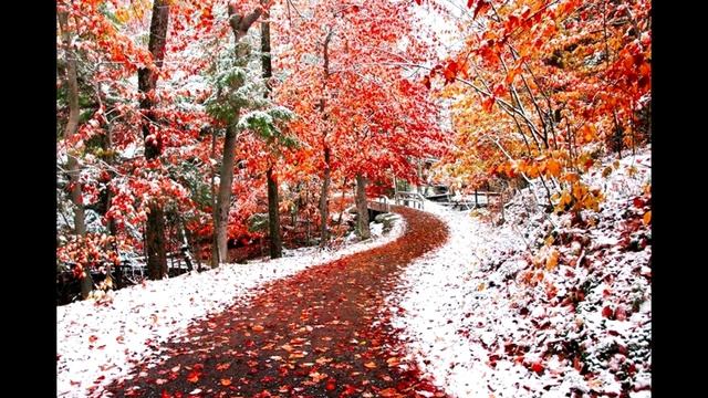 ТРАНСФОРМАЦИЯ ОКРУЖАЮЩЕГО ПРОСТРАНСТВА. Переход в 5 измерение 2019 Отец АБСОЛЮТ приняла Марта смотреть онлайн