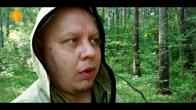 [4К]Летняя лесная прогулка. Часть1 "Завтрак в лесу. Цветочное поле" смотреть онлайн