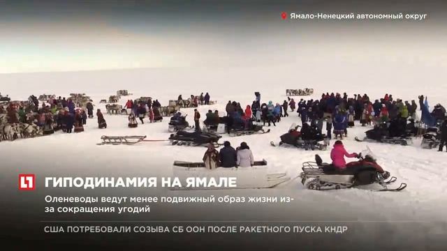 Проблемы лишнего веса коснулись коренных жителей Крайнего Севера смотреть онлайн