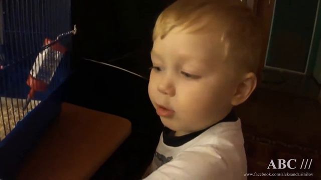 Действительно! Ну где же ты, любовь моя? ))) смотреть онлайн