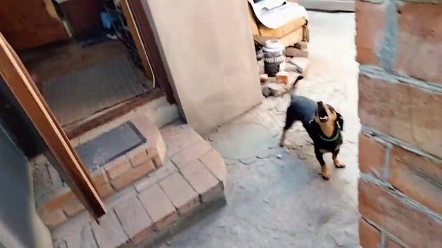 АНАТОЛИЙ ЛЮТЫЙ С МАКОВЕЯ (МАКОВИЯ МАКОВЕЕМ МАКОВIЯ) ПОЗДРАВЛЕНИЕ смотреть онлайн