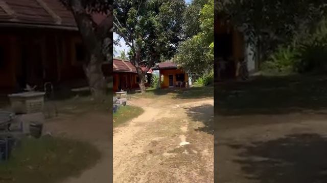 Участок с домами и великолепным видом на море смотреть онлайн