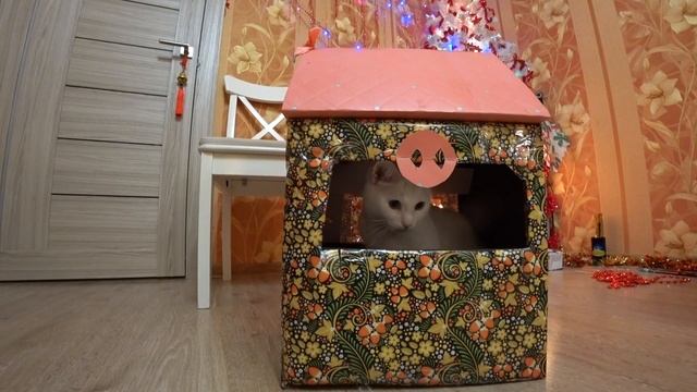 Домик для котика своими руками / Кто в домике живет? смотреть онлайн