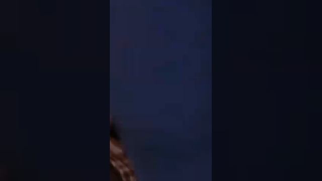 Элегантный Пижон ? смотреть онлайн