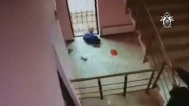 Падение пятилетнего мальчика с лестницы ТЦ в Салехарде смотреть онлайн