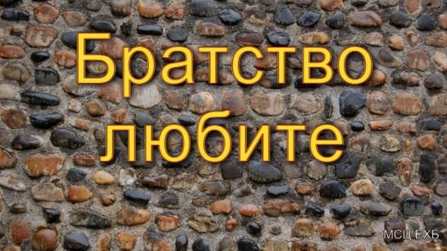 "Братство любите". А. А. Куренбин. МСЦ ЕХБ, смотреть онлайн