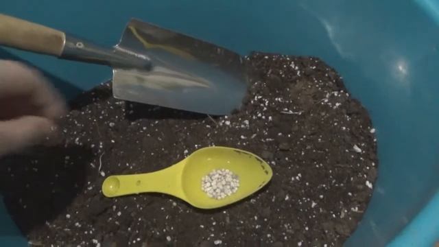 Удобрение для рассады лука и чеснока смотреть онлайн