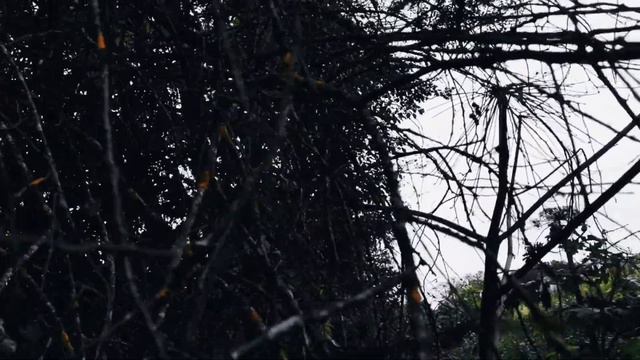 VID 20230629 033757 Воскресение (Франц Элленс)...Павел Васильев Лахтинский смотреть онлайн