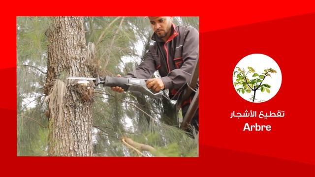 الإستعمالات المتعددة للمنشار الكهربائي لصوفيكلي