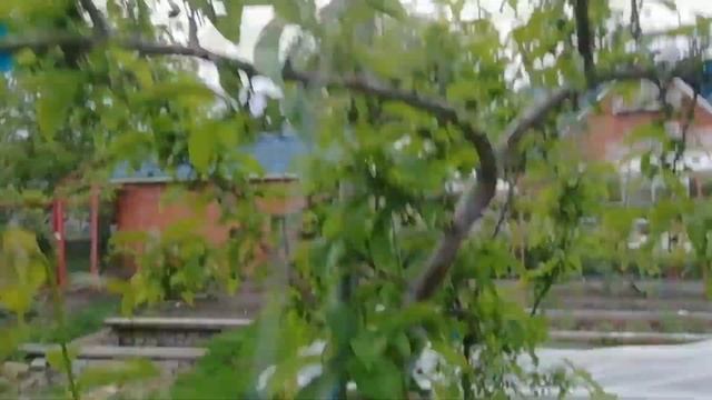 Плумкот Ред вельвет смотреть онлайн