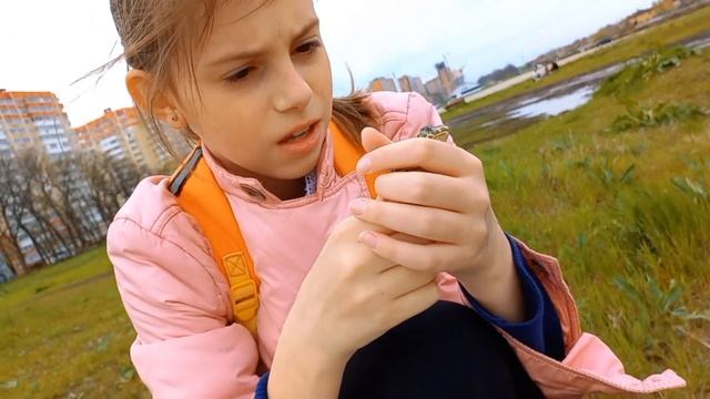 Поймали ЛЯГУШКУ / Ловля ящериц смотреть онлайн