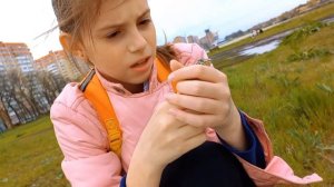 Поймали ЛЯГУШКУ / Ловля ящериц