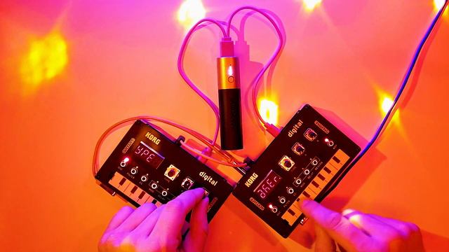 Korg NTS-1 X 2 With Sinevibes Odds + Ruismaker