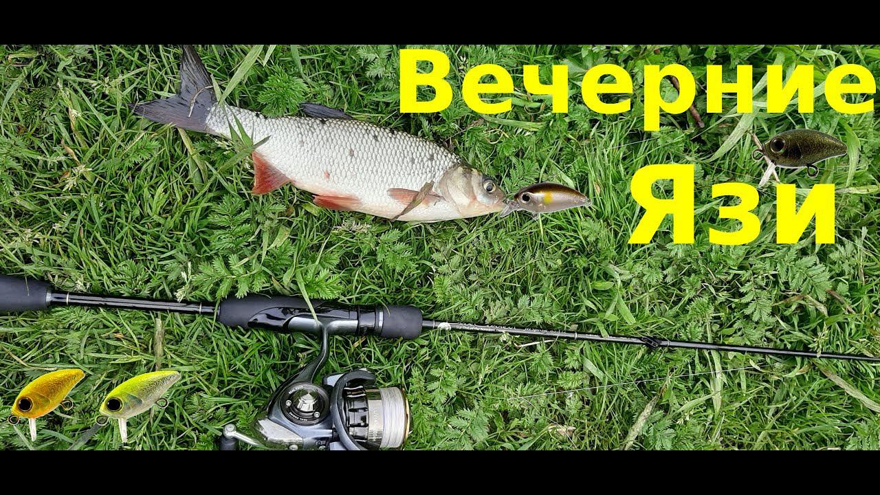 Вечерний выход за язем. Потеря Smith Camion смотреть онлайн