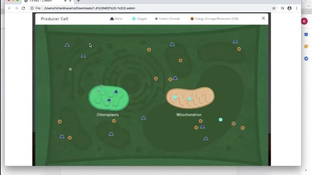 Producer Cell SIM смотреть онлайн