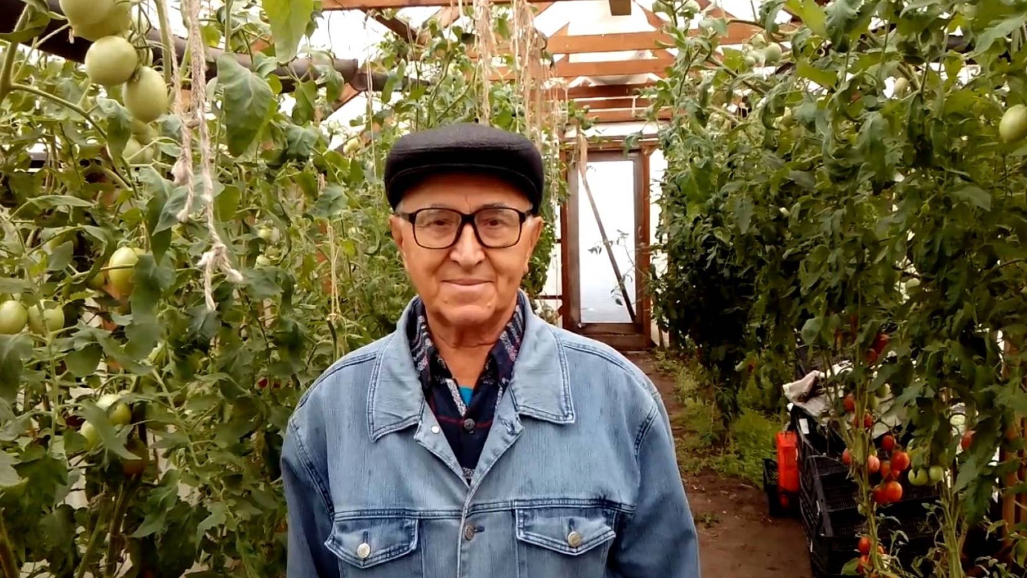 Урожай в теплице смотреть онлайн