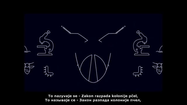 Bee - social ad in Interslaviс | Пчела - социално видео на меджусловјанском смотреть онлайн