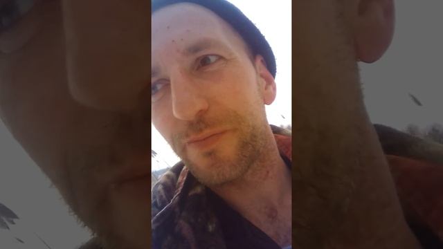 Прогулка с эстонскими гончими смотреть онлайн