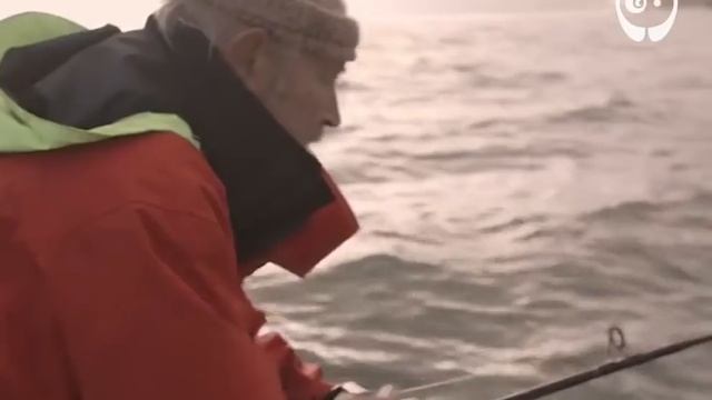 Как делаются звуковые эффекты в кино смотреть онлайн