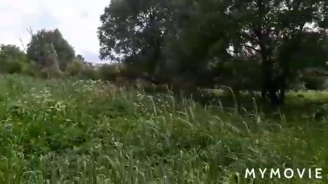 #шостка#прогулка# Лазаревка,ТЭЦ,ул.Гагарина. Река Шостка. Прогулка.