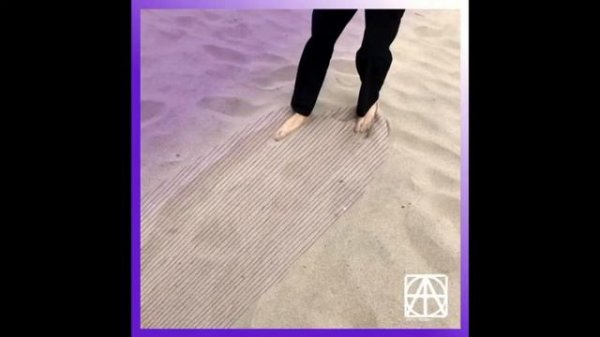 ssshhhiiittt! Сёрф панк