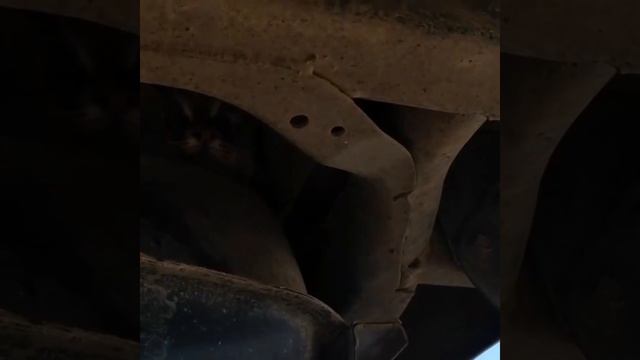 Амурский лесной кот обнаружен в механизме автомобиля. смотреть онлайн