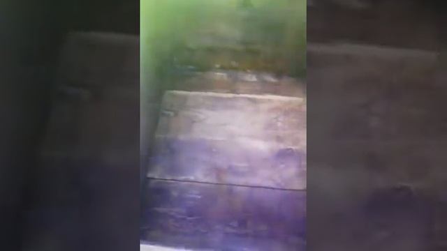 Чистка улья смотреть онлайн