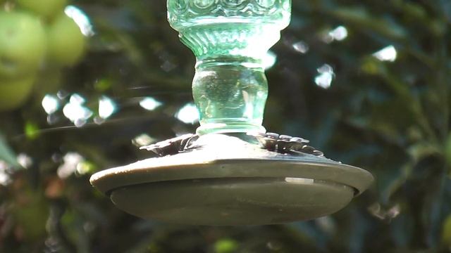 Panasonic HC-V500 test смотреть онлайн