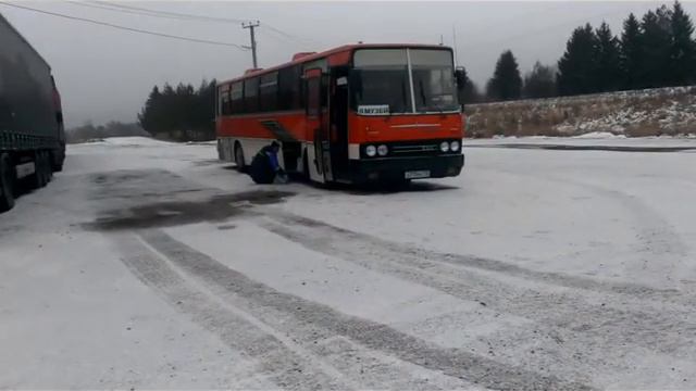 Перегон Икаруса из Екатеринбурга в Спб смотреть онлайн