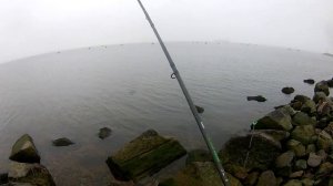 Корюшка на фидер. Финский залив южная дамба. Новичкам везет