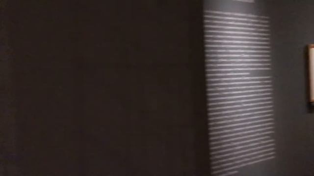 Альбрехт Дюрер. Шедевры гравюры в Историческом музее смотреть онлайн