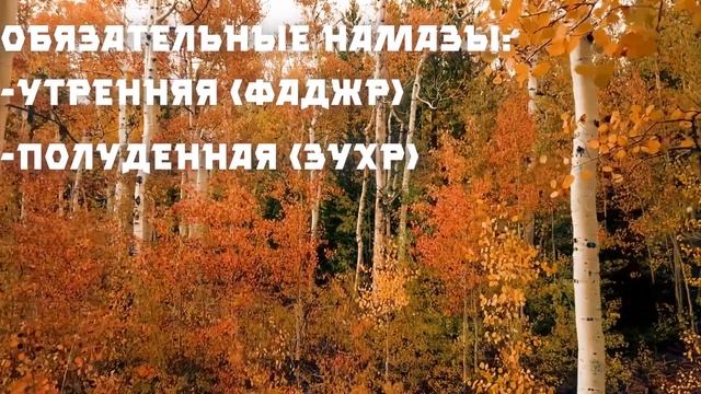Намаз| Ислам для начинающих #2 смотреть онлайн