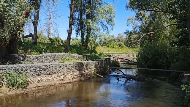 Захарьинская пойма реки Сходня. смотреть онлайн