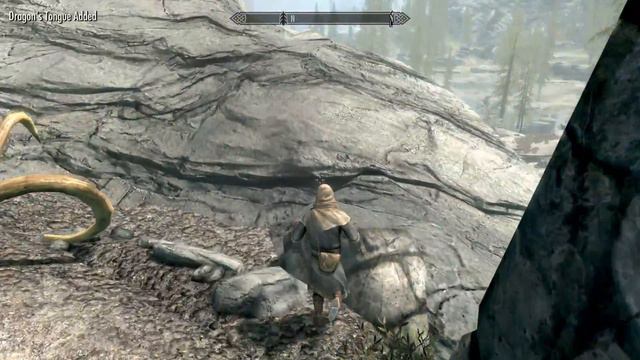 Skyrim SE||2|| Flowers, lots of flowers смотреть онлайн