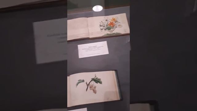 Ботаническая живопись. Школа акварели Андрияки смотреть онлайн