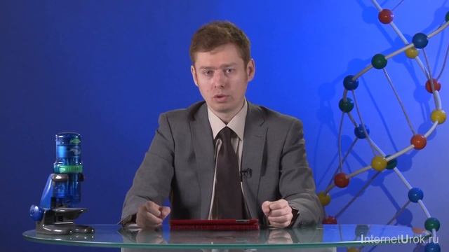 Биоценоз как сообщество живых организмов. Видеоурок по биологии 9 класс смотреть онлайн