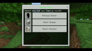 Minecraft Morph Mod In 1.19 | Morph Plus v5