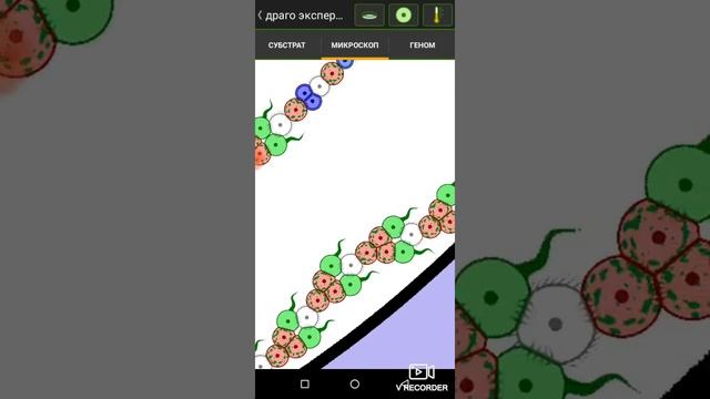 Cell lab. СОСТАВНЫЕ ОРГАНИЗМЫ. смотреть онлайн