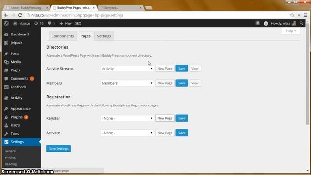 Видеоурок: что такое BuddyPress и какие у него возможности смотреть онлайн