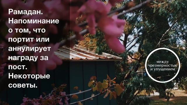 Рамадан. Напоминание о том, что портит или аннулирует награду за пост. Некоторые советы. смотреть онлайн